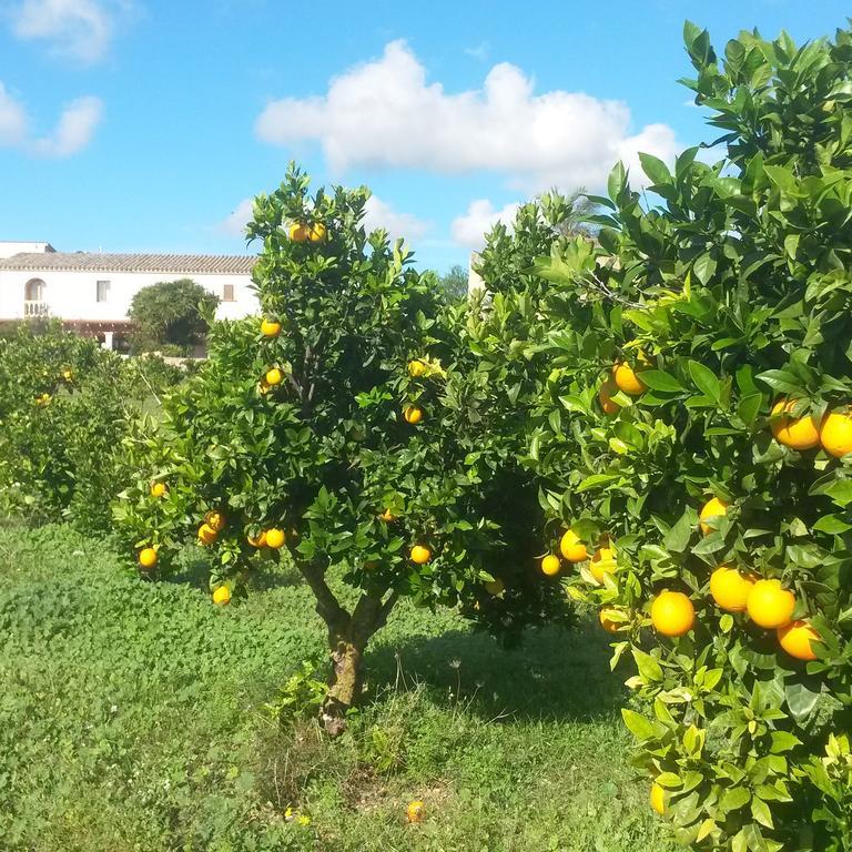Finca Can Paulino (Adults Only) Llucmajor  Chambre photo