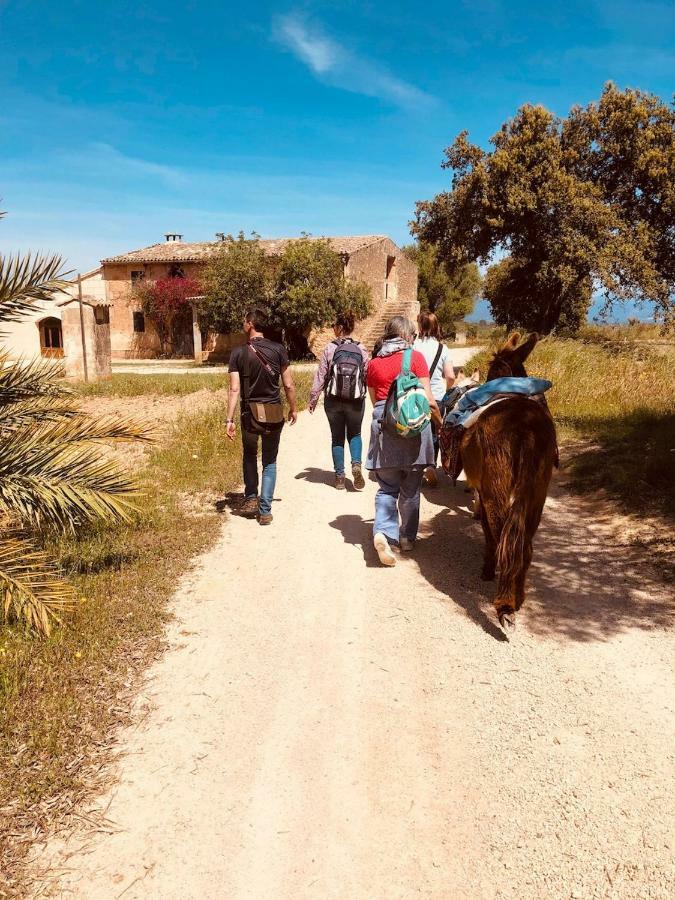 Finca Can Paulino (Adults Only) Llucmajor  Extérieur photo